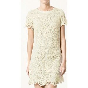 white sheath lace dress Cream Floral Lace Long Sleeve Mini Dress main image 1